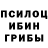 Галлюциногенные грибы Magic Shrooms enderBOLIK PUBG