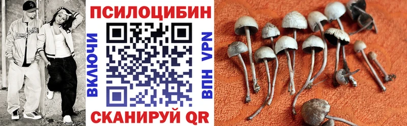 Галлюциногенные грибы Cubensis  Славянск-на-Кубани 